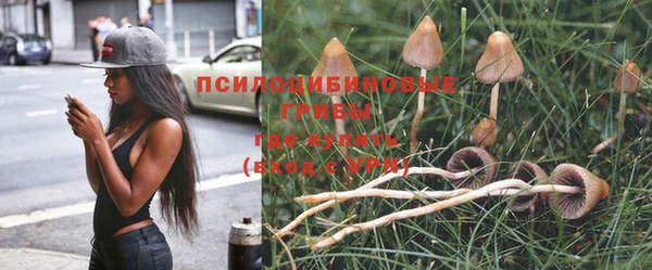 ПСИЛОЦИБИНОВЫЕ ГРИБЫ Алзамай