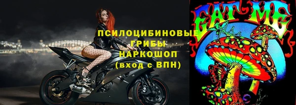 ПСИЛОЦИБИНОВЫЕ ГРИБЫ Алзамай