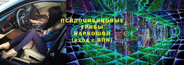 ПСИЛОЦИБИНОВЫЕ ГРИБЫ Алзамай