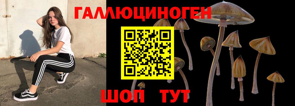 Котельники  Галлюциногенные грибы Psilocybe  где продают   Галлюциногенные грибы мицелий  Вход с VPN 